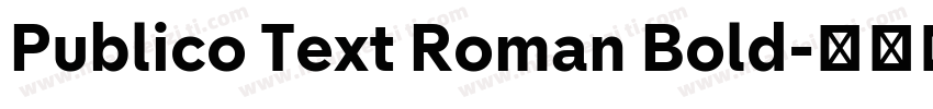 Publico Text Roman Bold字体转换
